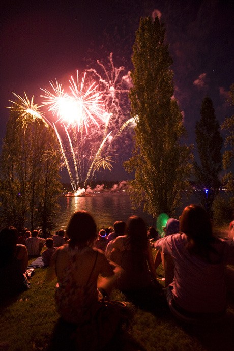 Hundreds flocked to Luther Burbank Park for the annual Summer Celebration! fireworks show.