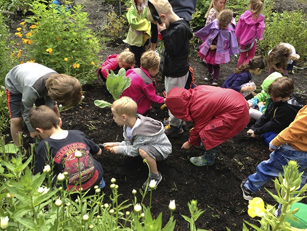Summer camp kids plant seeds in the Kesher community garden at the Stroum Jewish Community Center. During the school year