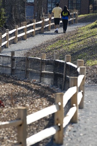 Pedestrians follow a reconstructed path in the completed shoreline restoration project at Luther Burbank Park on Mercer Island