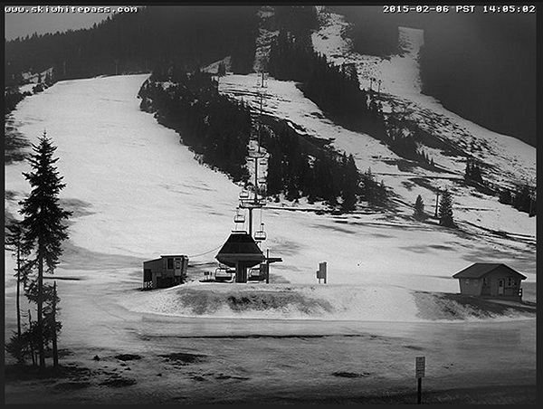 No snow. No skiers. The lack of snow this winter is clearly evident in this photo taken at Snoqualmie Pass in early February. It only snowed four days last month. Skiers headed out of state.