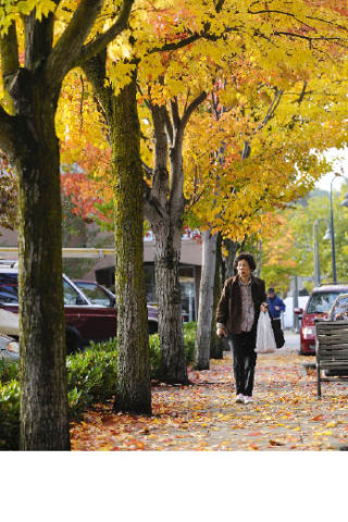 Island resident Rosanne Hsu walks under a canopy of fall colors while running errands in the 2800 block of 78th Avenue S.E. in the downtown business district of Mercer Island last month.