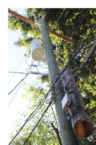 A cut-off portion of a utility pole hanging from the wires of an adjacent pole has been deemed safe