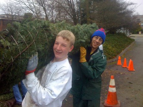 Members of the Mercer Island Boy Scout Troop 647 and the Mercer Island Lions Club worked together to move Christmas trees into a lot for the Mercer Island Lions Club annual tree sale on Nov. 28. The trees are for sale in the Farmer’s Insurance parking lot.