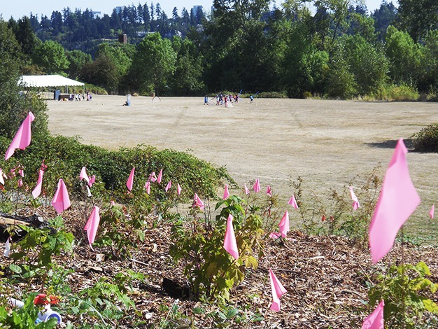 The playfields at Luther Burbank Park along 84th Avenue S.E. at S.E. 26th Street are scorched from hot weather. Children attending summer camp play in the background on Monday before taking an early water break under the tent at left. In the foreground