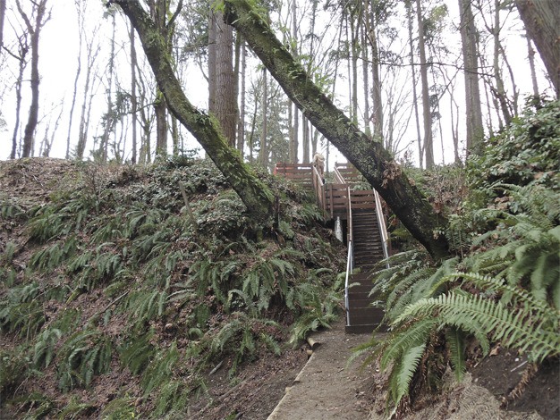 The newly completed staircase in the Upper Luther Burbank Park is part of the continuing work on the area with a new trails system.