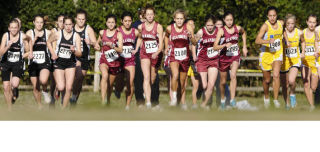 The Mercer Island girls cross country team shocked the field during the state meet by winning the championship.