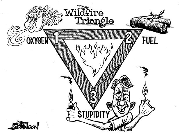 View the cartoon of the week