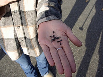 A resident shows the  handful of tacks she recently picked up on the bike path along Interstate 90.