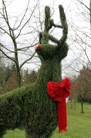 Three topiary deer