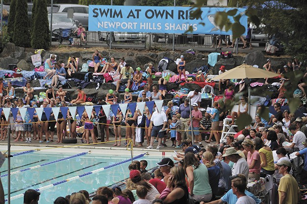 Parents and swimmers alike watch the junior girls Midlake prelim meet at the Newport Swim and Tennis Club in Bellevue on Tuesday