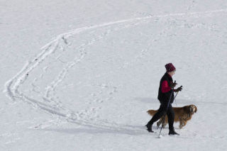 An Islander skis through the Park on the Lid with her dog during another Mercer Island snowfall