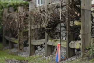 A survey marker denotes a property line inside a fence in the 2700 block of First Hill.