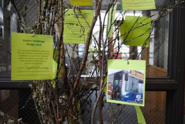 The Carbon Challenge Tree in Emmanuel Episcopal Church holds commitment cards from church members participating in the Carbon Challenge and keeping track of their steps taken on the 22Ways checklist.