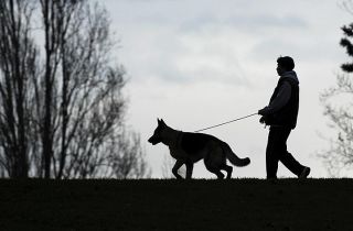 Chad Coleman/Mercer Island Reporter A canine and owner take an evening walk toward the off-leash area at Luther Burbank Park on Mercer Island last week.