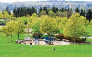 Chad Coleman/Mercer Island Reporter Sunshine brings life and people to the Park on the Lid on Mercer Island Wednesday.