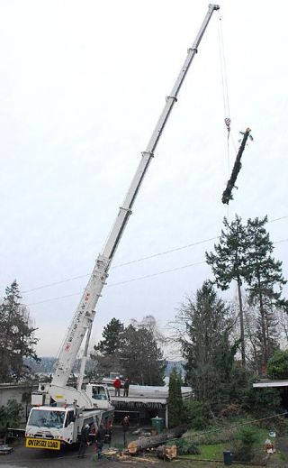 Chad Coleman/Mercer Island Reporter It took three tree crews and one huge crane on Friday to remove the 125-foot tree from the roof of Michael and Judit Crow’s house in the 3900 block of 76th Avenue S.E.