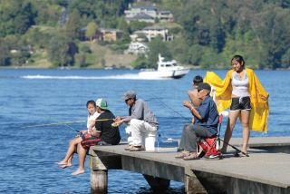 Chad Coleman/Mercer Island Reporter Anglers fish for perch in Lake Washington from the docks of Luther Burbank Park.