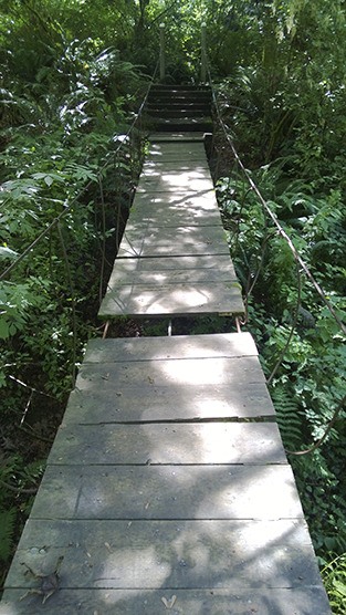 The wooden bridge at Island Crest Park was missing a few planks in early July.