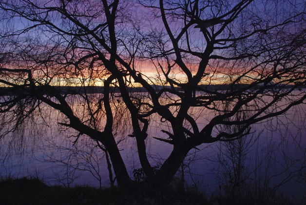 Among the photos on display in the Bassi Jones building for the upcoming Third Thursday Art Walk