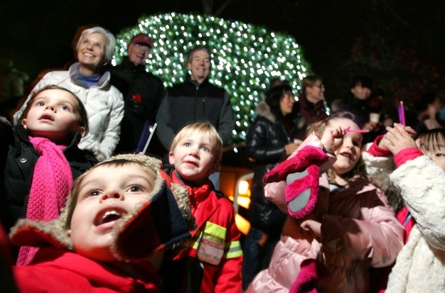 Children and adults alike watch as the City of Mercer Island's Holiday Tree is lit at Mercerdale Park Friday evening.