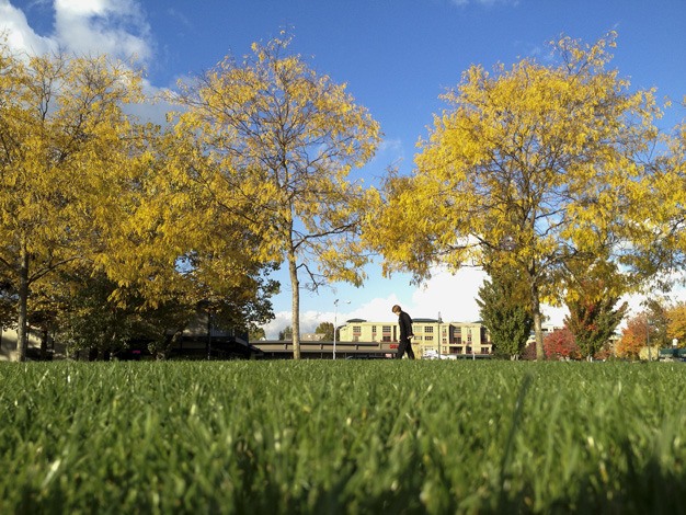 A walker enjoys the autumn sunshine during a stroll through Mercerdale Park at the end of October.