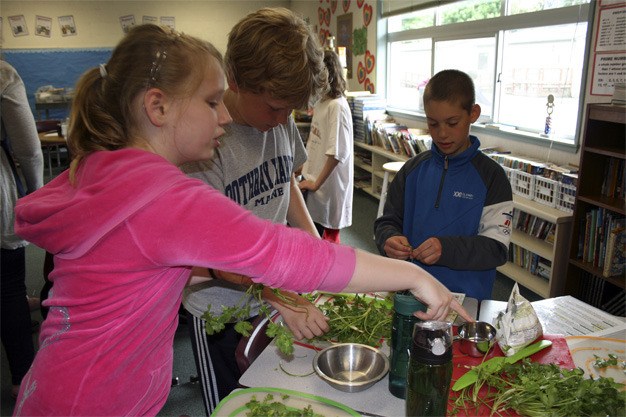 Fourth-graders Bryn McConnell