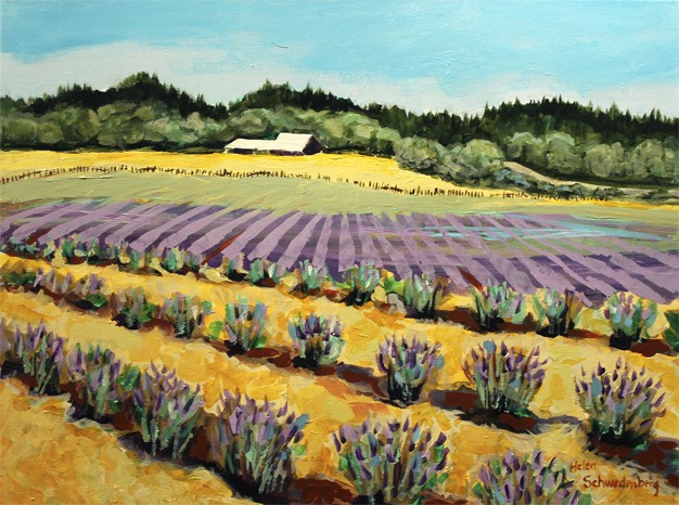 ‘Lavender Farm