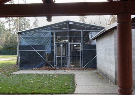 The batting cage facility at Island Crest Park is covered with chain-link walls and has a cement foundation. The structure