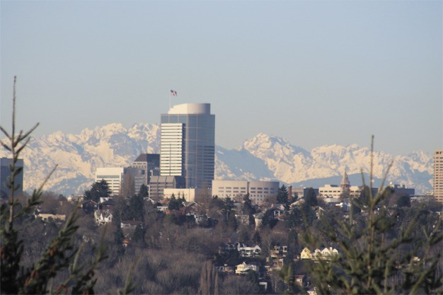 The Olympic mountains and downtown Seattle high rises could be seen frequently and easily during clear but very cold and sunny days in the Puget Sound area last week.