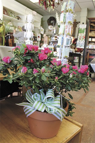 The Mercer Island Florist shop is filled to the brim with ideas for Mother’s Day gifts to celebrate all that moms do. Mother’s Day is Sunday