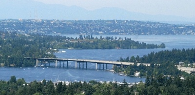 A Bellevue youth allegedly attempted suicide by trying to jump off the I-90 East Channel Bridge