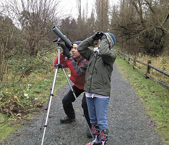 Marty Jackson and Linda Anchondo looks through the a telescope during the annual bird count on Mercer Island on Dec. 29.
