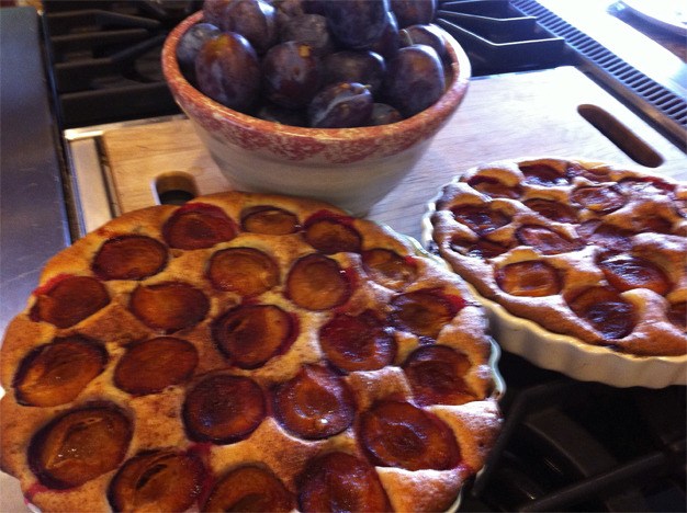 Plums for this tasty torte can be found on trees in Mercer Island neighborhoods. Substitute blueberries if needed.