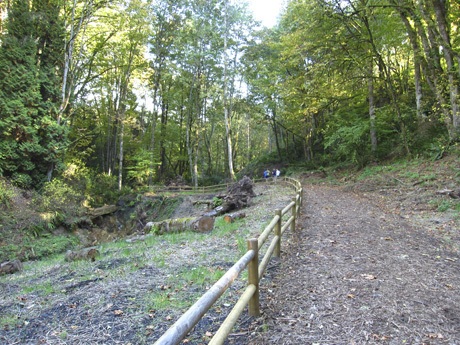 The Upper Reach Coal Creek Stream Bank Stabilization Project added new fencing to restore habitat near the Lakemont Blvd. S.E. trail entrance after storms essentially closed down the trails and open space.