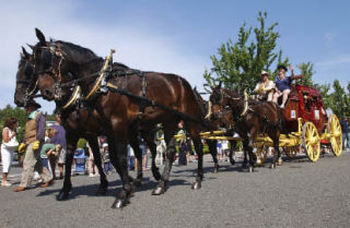 A horse-drawn stagecoach from Wells Fargo Bank makes an appearance along the streets of downtown Mercer Island last year during Summer Celebration! The annual event’s theme this year is the Wild