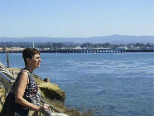Santa Cruz Beach Boardwalk in the background.