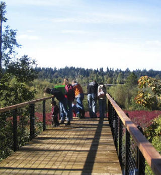 Visitors gather at a Mercer Slough view point. The Environmental Education Center was the site of a grand reopening last Saturday.