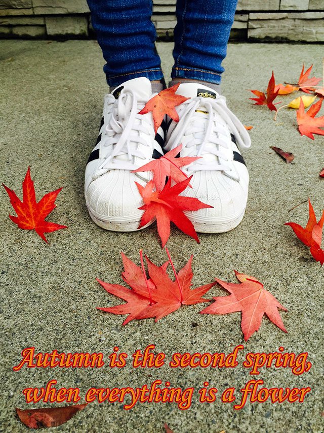 This photo and the saying were created by 11-year-old Mercer Island resident Brooke Andrews. Photo courtesy of Brooke Andrews