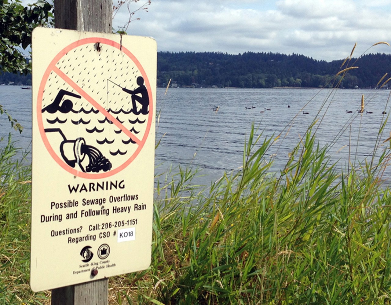 Wastewater overflows into Lake Washington in Mercer Island during power