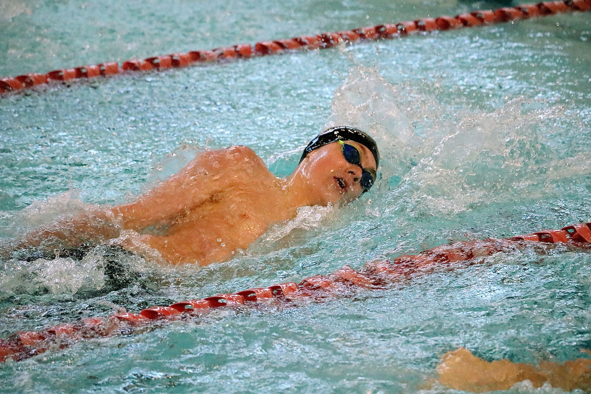 Mercer Island’s Nate Robinson competes in the 100 yard backstroke during the 3A SeaKing district swim championships Saturday at Mary Wayte Pool. Robinson placed eighth overall with a time of 56.35 (Joe Livarchik/staff photo).