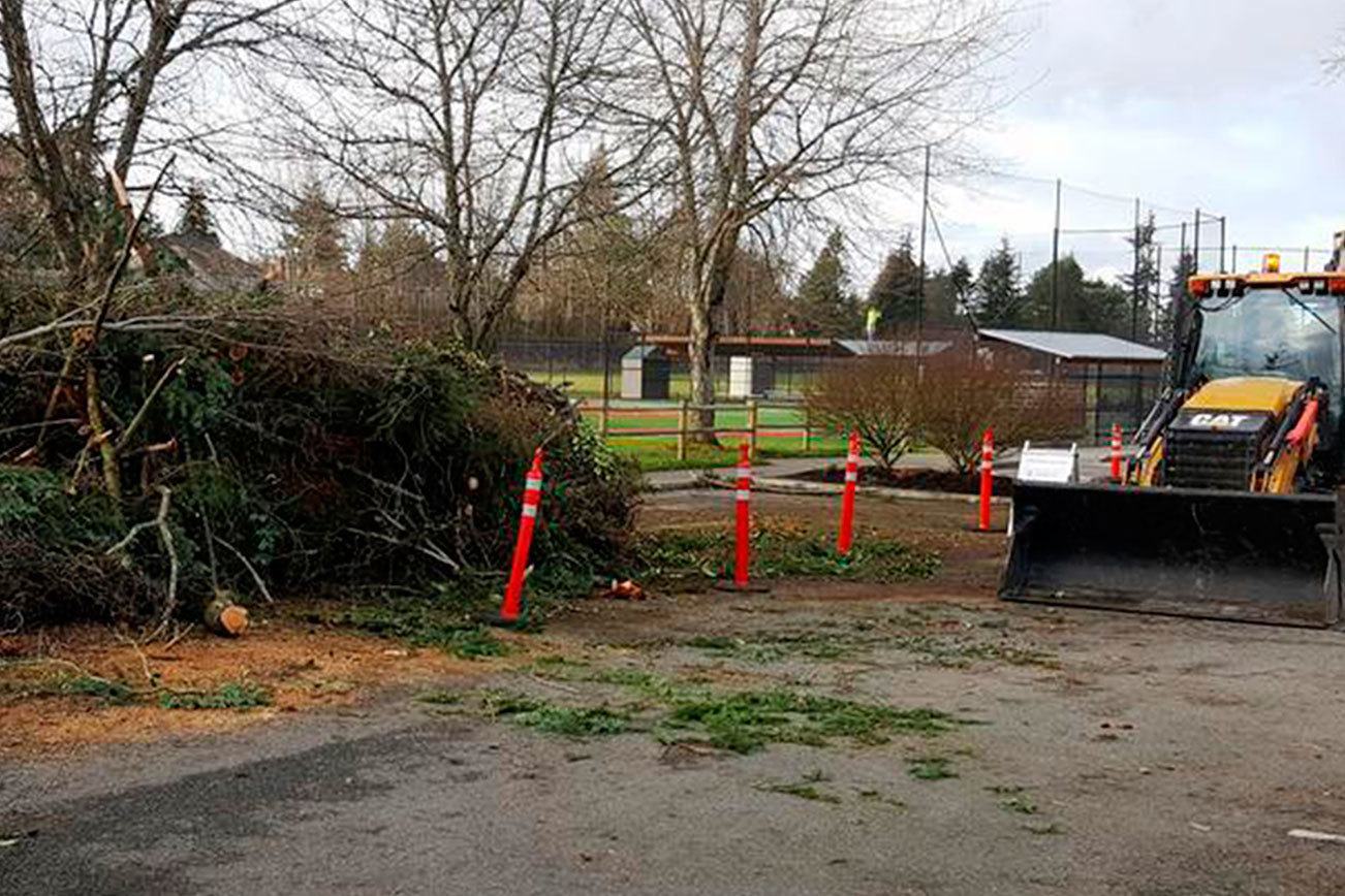 Mercer Island sets up locations for storm debris collection