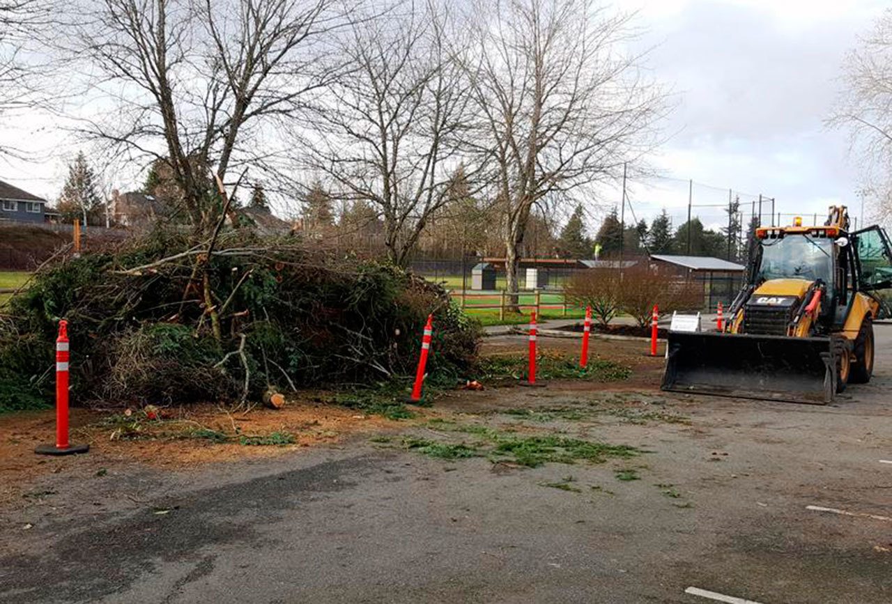 Homestead Park and South Mercer Playfield, the temporary drop off locations for yard debris and tree limbs, will be active through at least this weekend to help residents clean their yards after last week’s snow storm. Photo courtesy of the city of Mercer Island