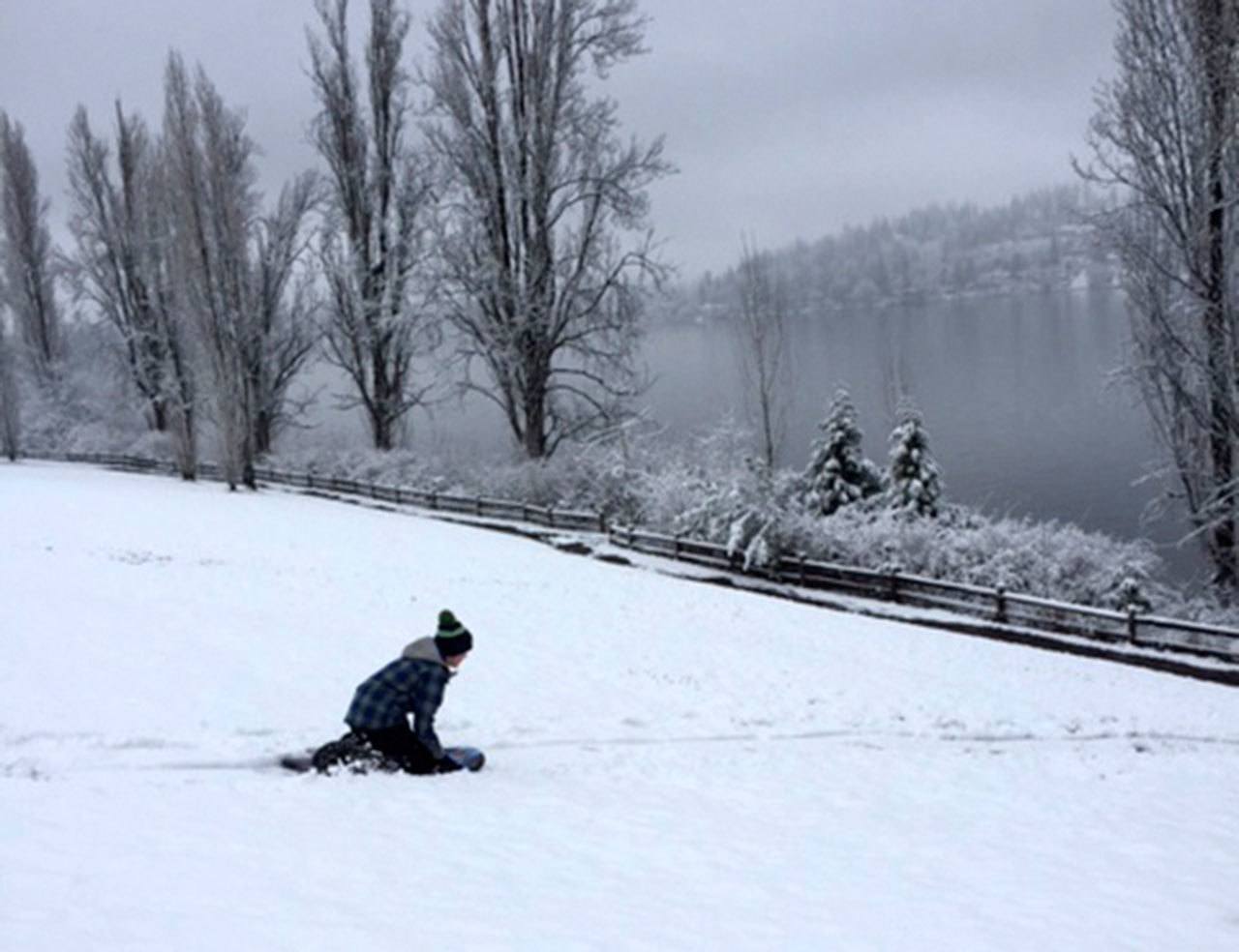 A child sleds at Luther Burbank Park. Photo courtesy of Michelle M.