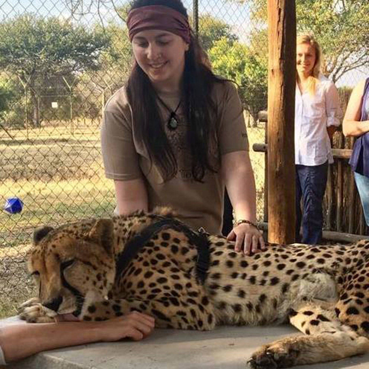 Mercer Island student travels to South Africa to work with cheetahs