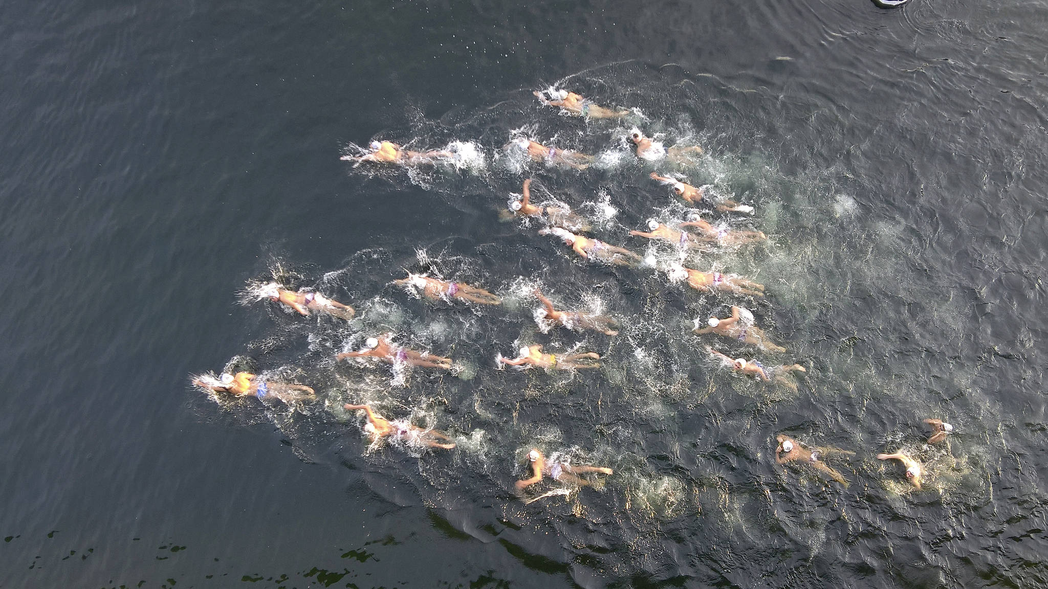 Photo courtesy of Ami Lees                                The Mercer Island boys ’ water polo team swims across Lake Washington to Seattle along the I-90 bridge corridor duringthe Lake Washington Swim and Run on Aug. 25.