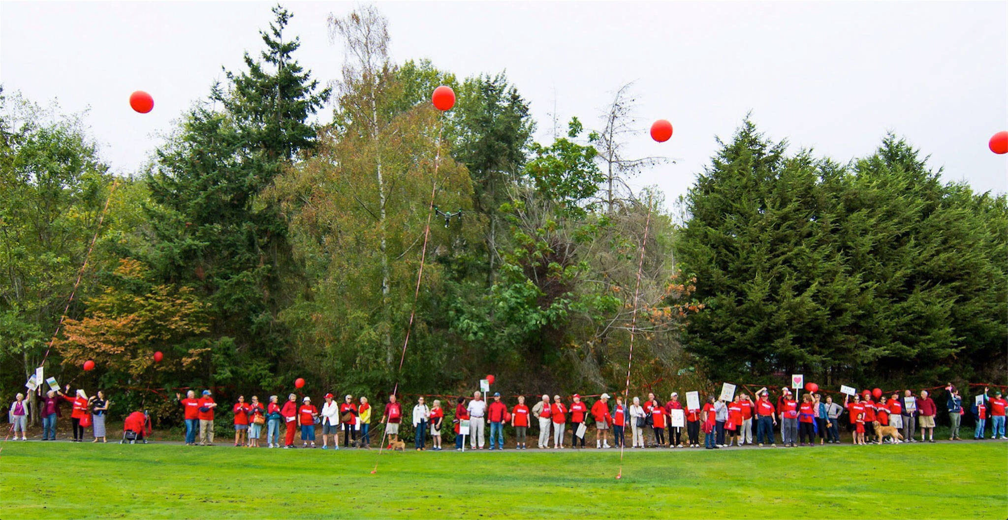Islanders float red balloons to demonstrate the scale of the proposed Mercer Island Center for the Arts (MICA) in Mercerdale Park. Photo courtesy of Robin Russell