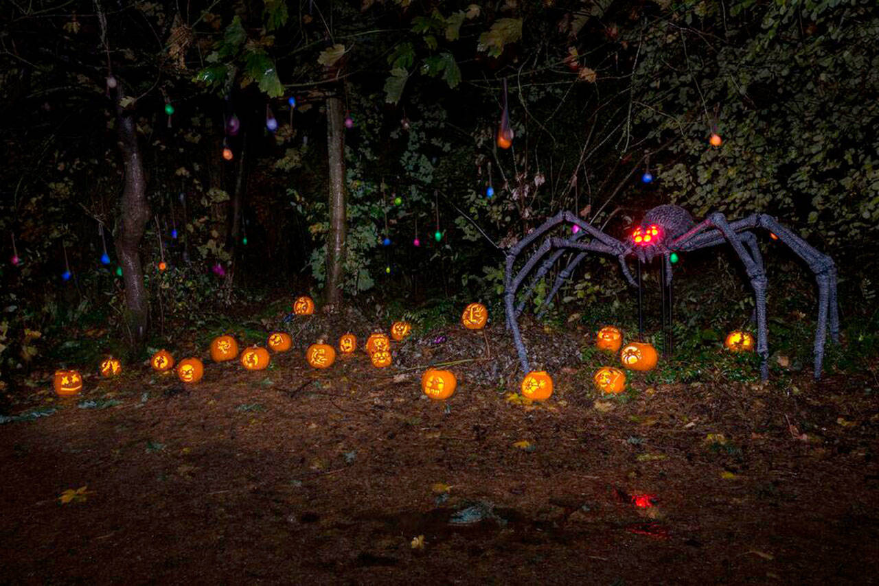 Mercer Island’s Halloween events kicked off with the Pumpkin Walk on Saturday. There are many more fun and festive events, including community trick or treating, for Islanders to enjoy this weekend and next week. Photo courtesy of Matthew Staver