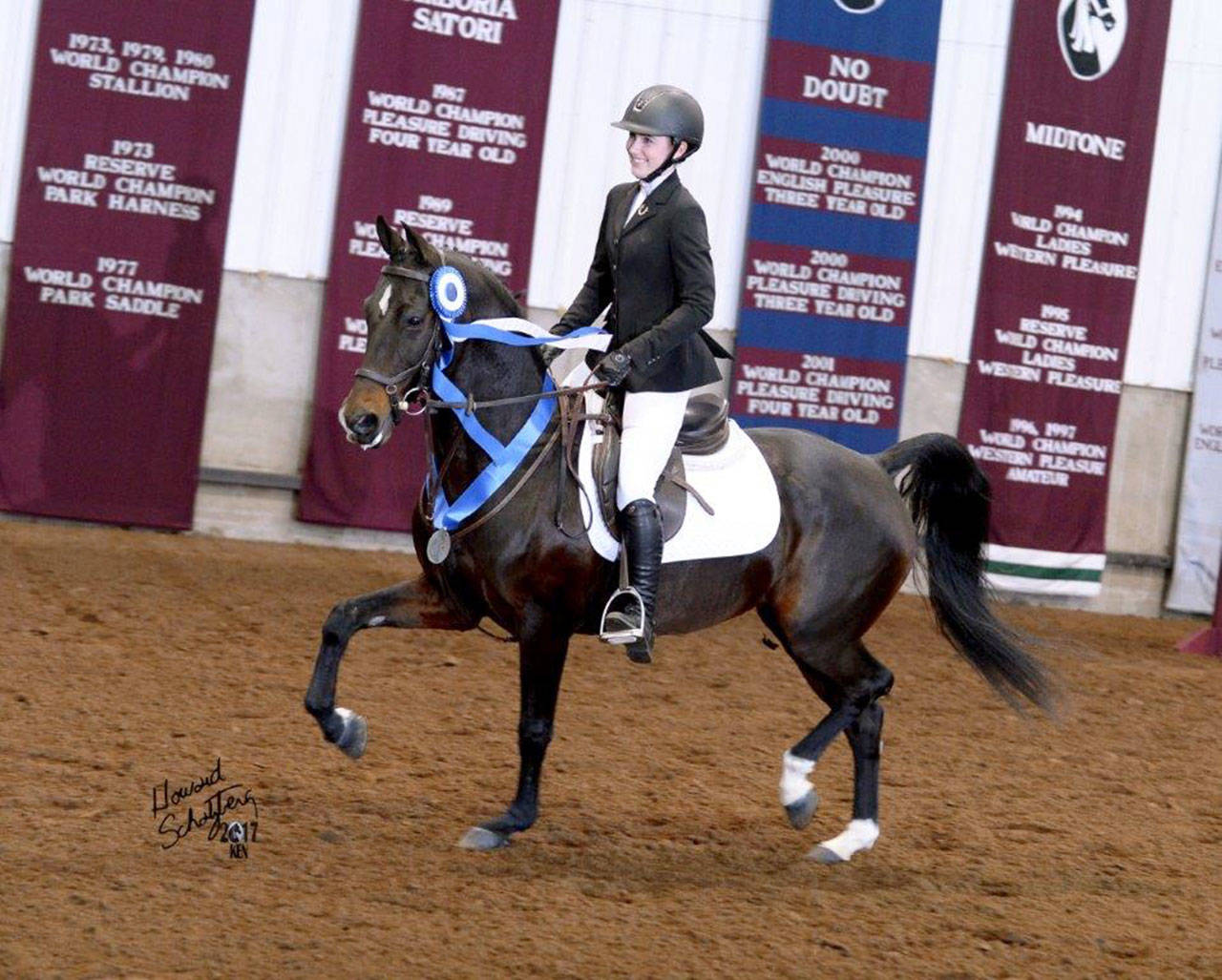 Photo courtesy of Michelle Dumler                                Islander Katrina Dumler took home the top prize at a Morgan horse show in October.