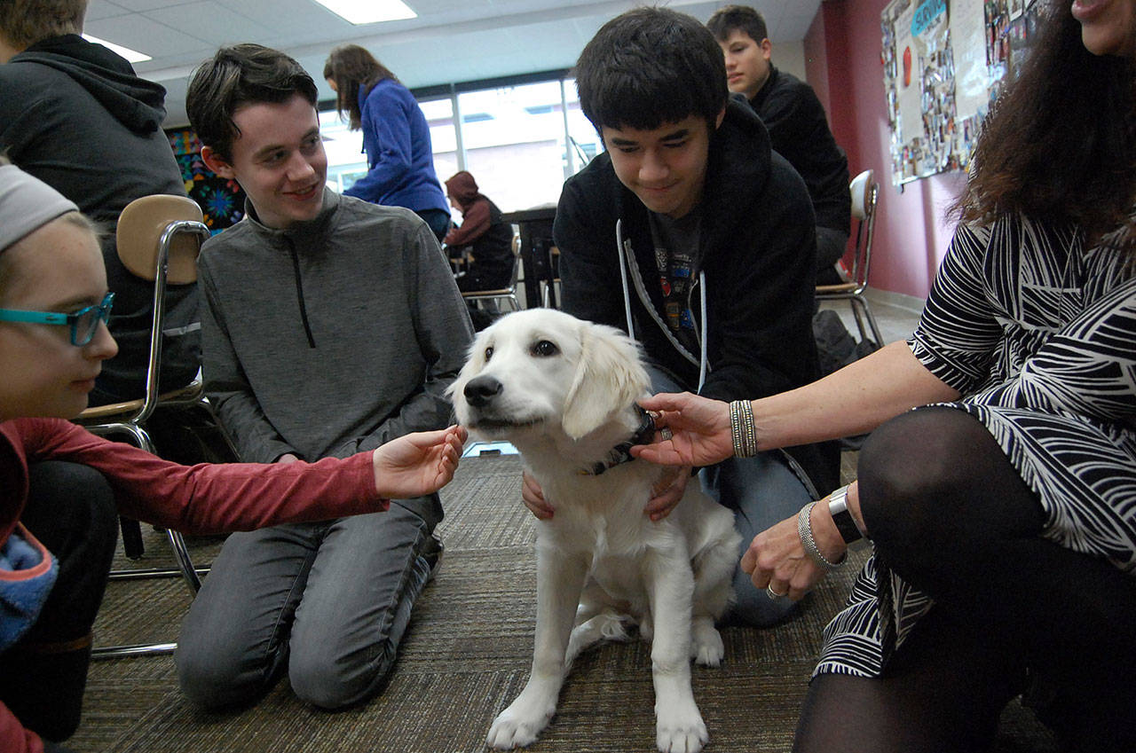Therapy dogs shop in high schools
