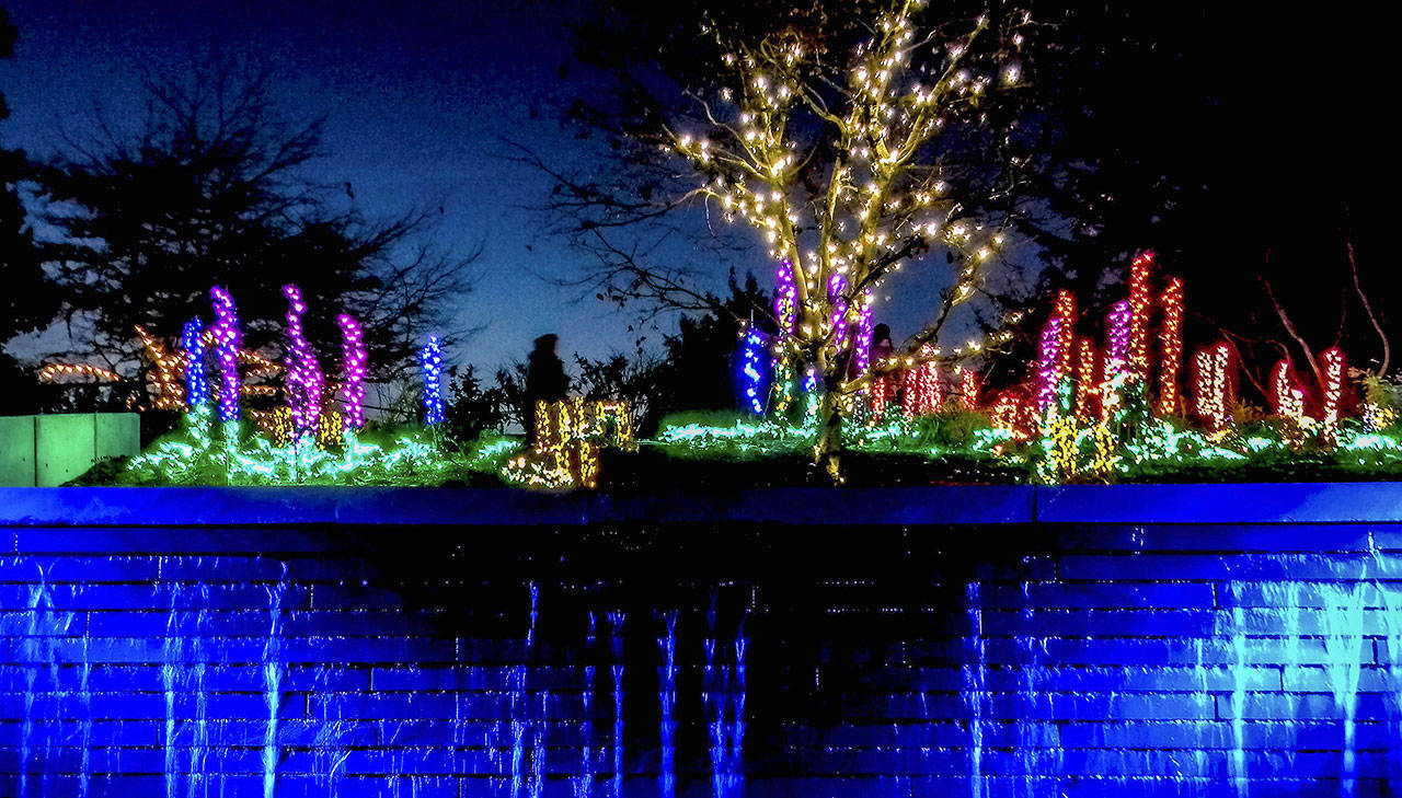 Starting Nov. 25, Garden d’Lights is open 4:30–9 p.m. nightly at the Bellevue Botanical Garden, 12001 Main St., Bellevue. Courtesy photo